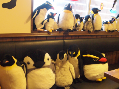 ペンギンカフェに所属するペンギンスタッフたち